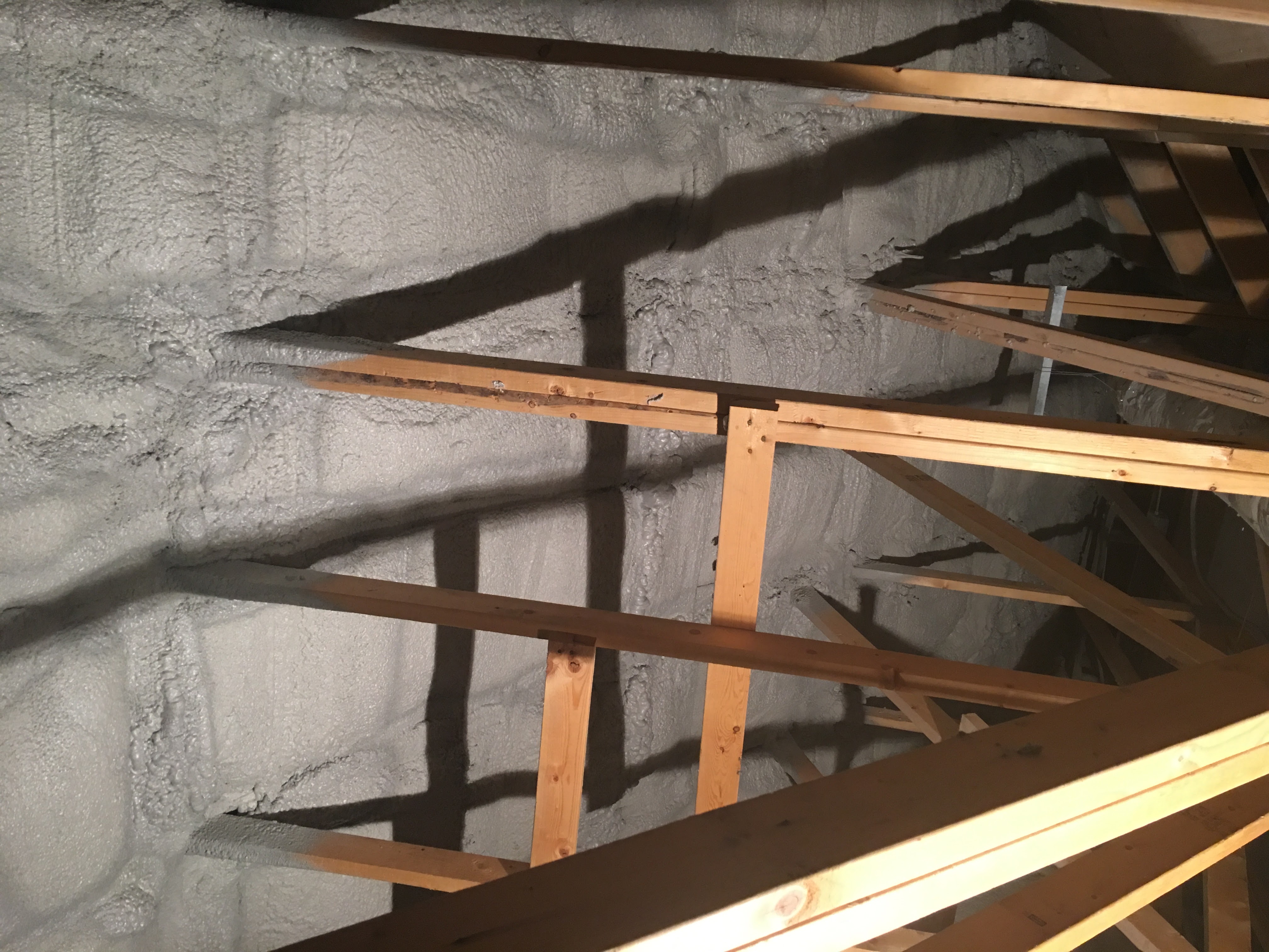 Dentist Office project gallery