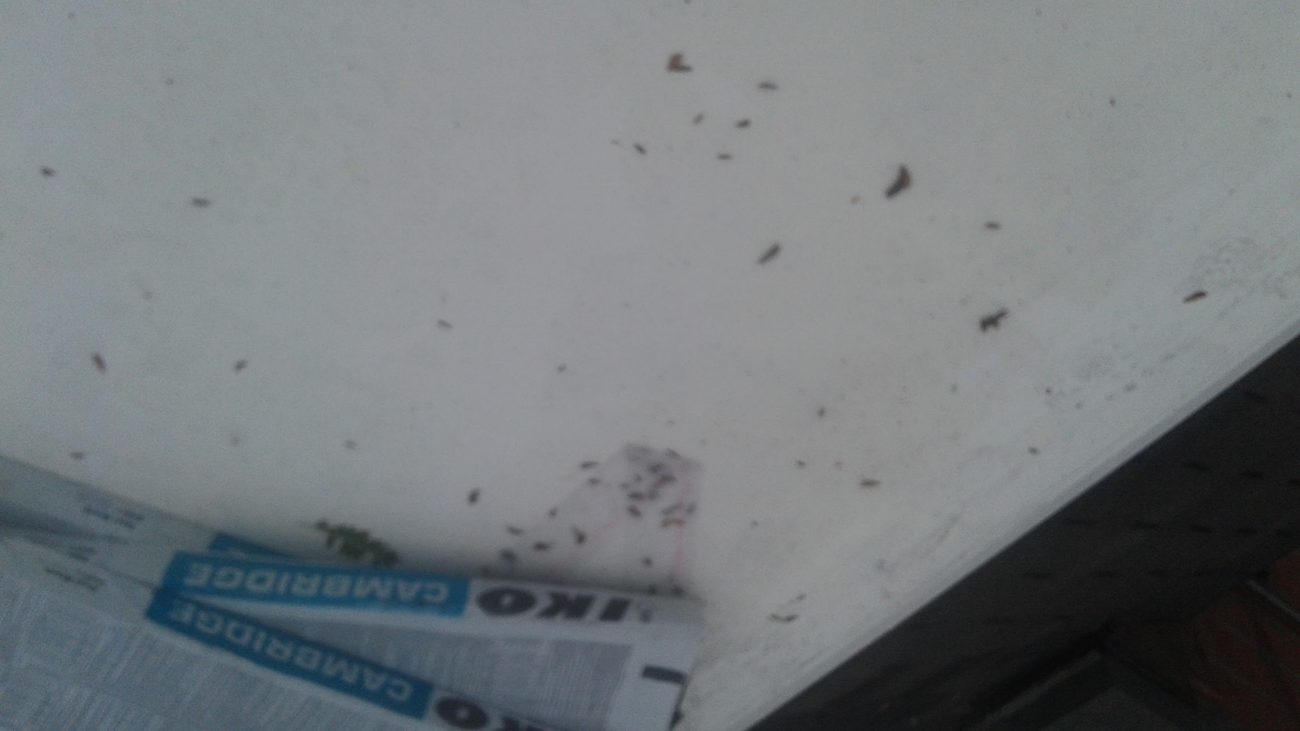 Relevant Compass Insulation project example in Ohio